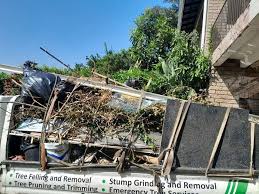 Best Retail Junk Removal  in Holly Springs, MS